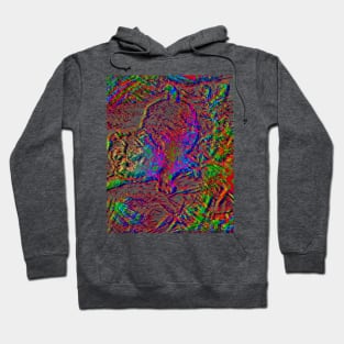 A pooch on acid Hoodie